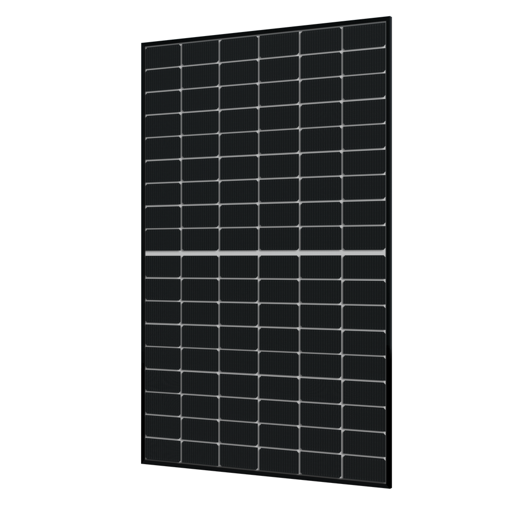 DM450M10RT-B54HBT/PPE2-500 - Module N-TYPE Bi-Facial 450Wc PPE2 500KG - Bi-verre transparent - Cadre noir