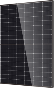 DM425M10T-B54-HBT-PPE2-500 : DMEGC Module N-TYPE Bi-verre Transparent 425w