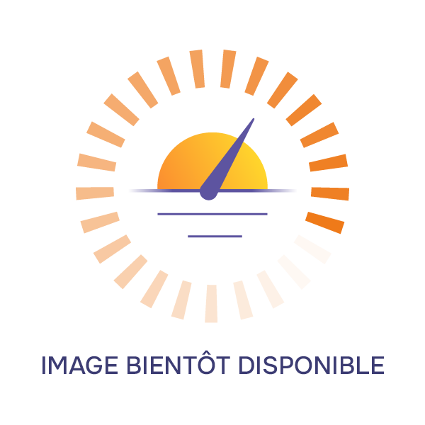 SUNGROW - BMS POUR PACK SBH